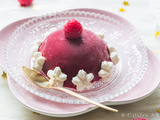 Sorbet « Pure Framboise » & Meringues pour un dessert de fêtes