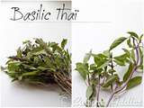 Zoom sur… Le Basilic Thaï