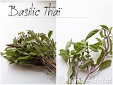 Zoom sur… Le Basilic Thaï