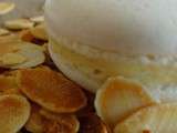 Macaron amandes