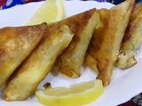 Boureks- triangles- samoussa- viande hachée- parmesan et fromage fondu