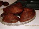 Madeleines aux double chocolat