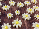 Fleurs Comestibles Décoratives de Antonio Bachour (marguerites déco)