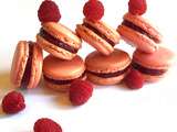 Macarons à la Framboise de Christophe Felder