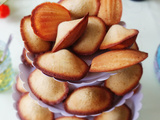 Madeleines Vanille de Lenôtre