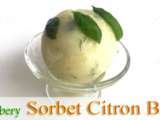 Sorbet Citron Vert Basilic de Pierre Hermé