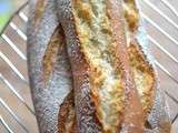 Baguette bio au levain déshydraté d'Eric kayser