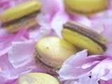 Macarons chocolat au lait mangue