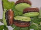 Macarons menthe chocolat avec deux ganaches