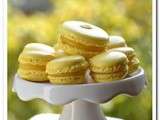 Macarons yuzu citron vert