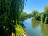 Colmar, route des vins et Auberge de l'ill