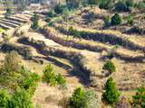 Hautes terres de Madagascar