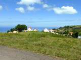 Rodrigues, île des tortues et du solitaire, les vindaye gourmands et épicés... comme là bas dans les Mascareignes