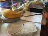 Fromages caillés au pistil d’artichaut