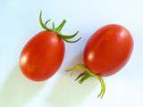 Tomate Roi Humbert