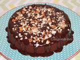 Pop cake double chocolat