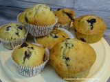 Muffins moelleux aux myrtilles et pépites de chocolat noir