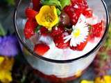 Mmm n°23 accompagné d'une Verrine Coulis de Fraises/Basilic surmonté d'une Chantilly/Mascarpone