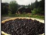 Tarte aux myrtilles de Haute Savoie... un délice de mes belles montagnes