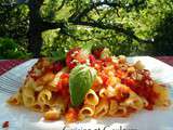 Gratin de ziti napoletani à la tomate et au pain