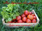 Coulis de tomates 2014