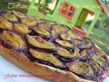 Tarte aux prunes d'Ente, (sur pâte pour fruits juteux, repérée sur le site du Thermomix