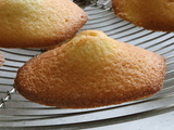 Madeleines