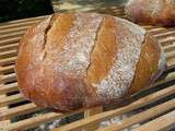 Nouveau pain au levain