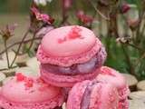 Ateliers macarons gratuits