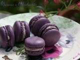 Macarons à l’Amélanchier