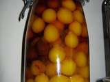 Conserves de prunes de mirabelle