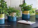 Beau Herbes Aromatiques En Cuisine