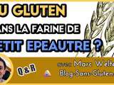 Farine de petit épeautre et gluten | l’engrain est-il sans gluten