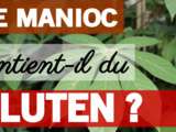 Manioc contient-il du gluten