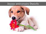 Anniversaire de Danie