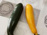 Premiers courgettes