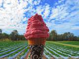 Connaissez-vous la glace à la ferme