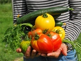 On mange quoi ce soir? Spécial récolte du potager