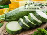 Dossier : La courgette dans tous ses états