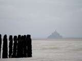 Découverte des moules de bouchots aop Baie du Mt St Michel (Recette inside)