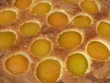 Tarte amandine aux abricots