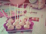 Cake pop au chocolat cuit dans le moule cake pop