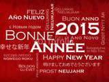 Bonne année 2015