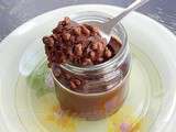 Mousse au chocolat vegan (pois chiche)