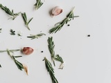 Meilleures méthodes pour conserver du thym frais et préserver sa saveur