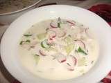 Okrochka (soupe froide russe) :