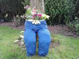 Jeans en fleur