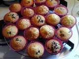 Muffins de Loëzia