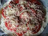 Tarte tomates du jardin