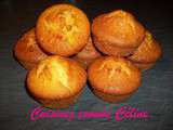 Muffins chocolat blanc